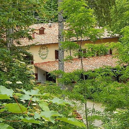 Agriturismo Fonte Magria Abbadia San Salvator Dış mekan fotoğraf