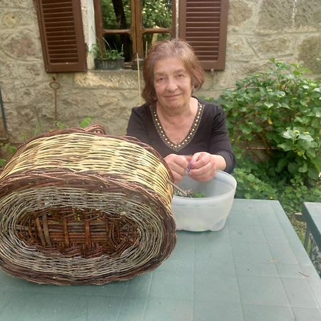 Agriturismo Fonte Magria Abbadia San Salvator Dış mekan fotoğraf