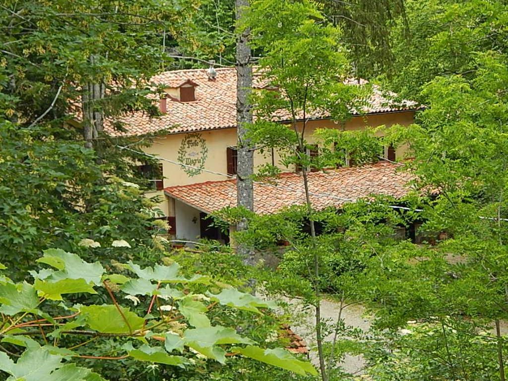 Agriturismo Fonte Magria Abbadia San Salvator Dış mekan fotoğraf