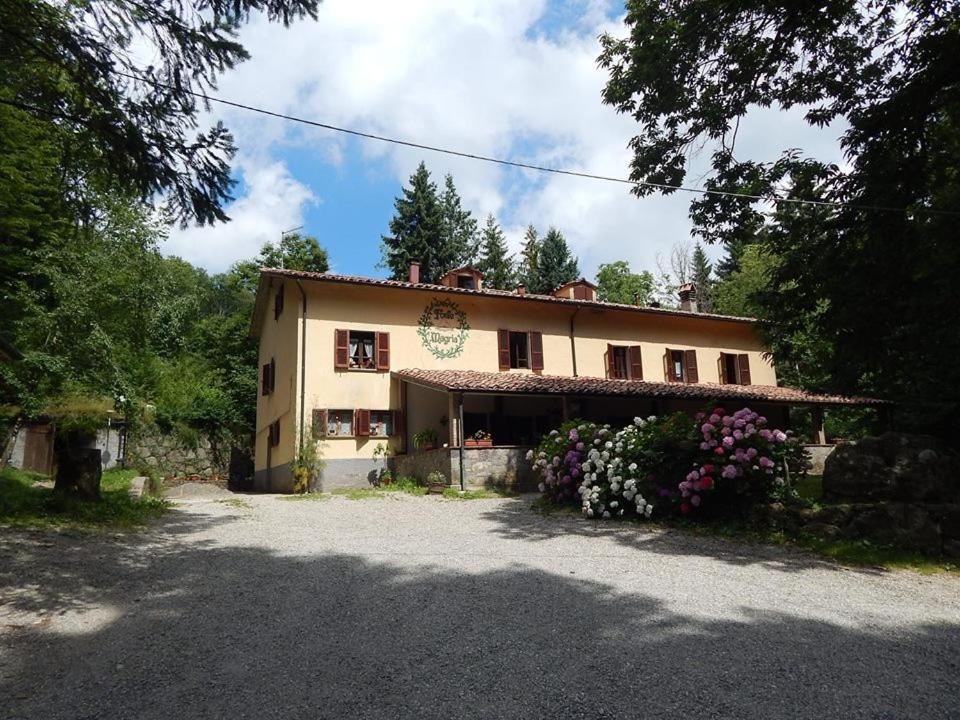 Agriturismo Fonte Magria Abbadia San Salvator Dış mekan fotoğraf