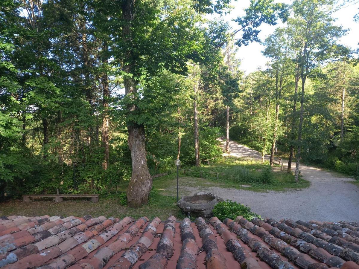 Agriturismo Fonte Magria Abbadia San Salvator Dış mekan fotoğraf