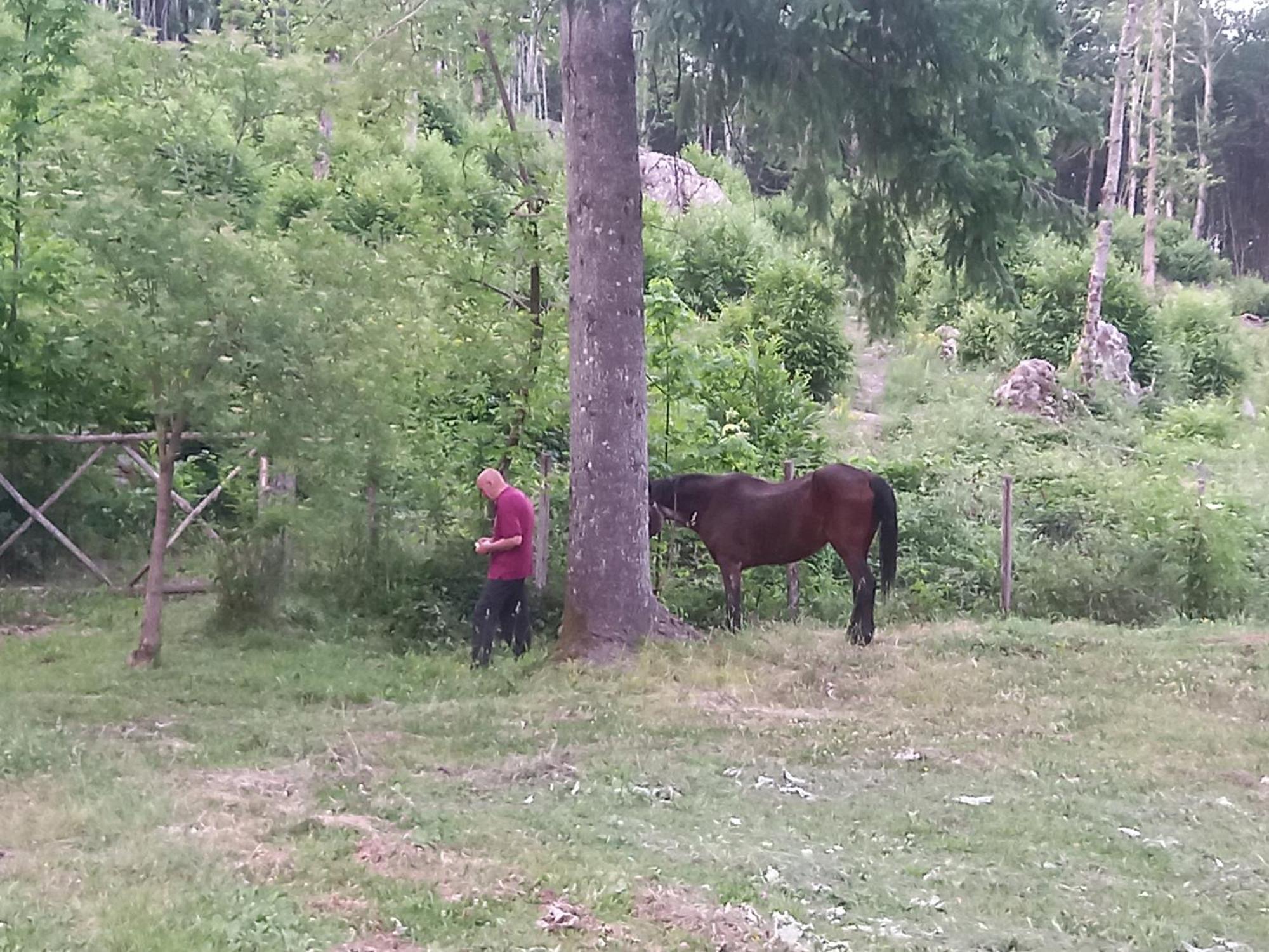 Agriturismo Fonte Magria Abbadia San Salvator Dış mekan fotoğraf